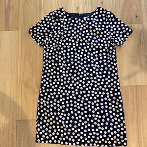 NWT J Crew Factory polka dot dress